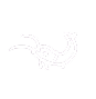 ML doodle 1