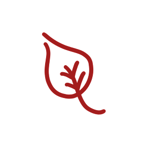 Decorative leaf