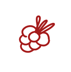 Decorative raspberry