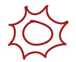 Decorative sun