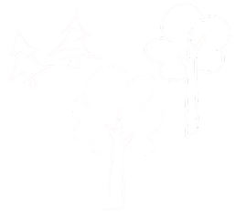 Trees doodle